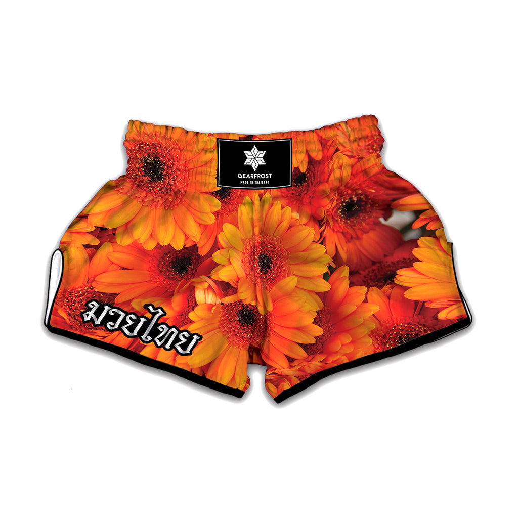 Orange Daisy Flower Print Muay Thai Boxing Shorts