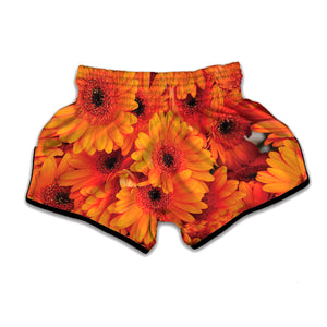 Orange Daisy Flower Print Muay Thai Boxing Shorts