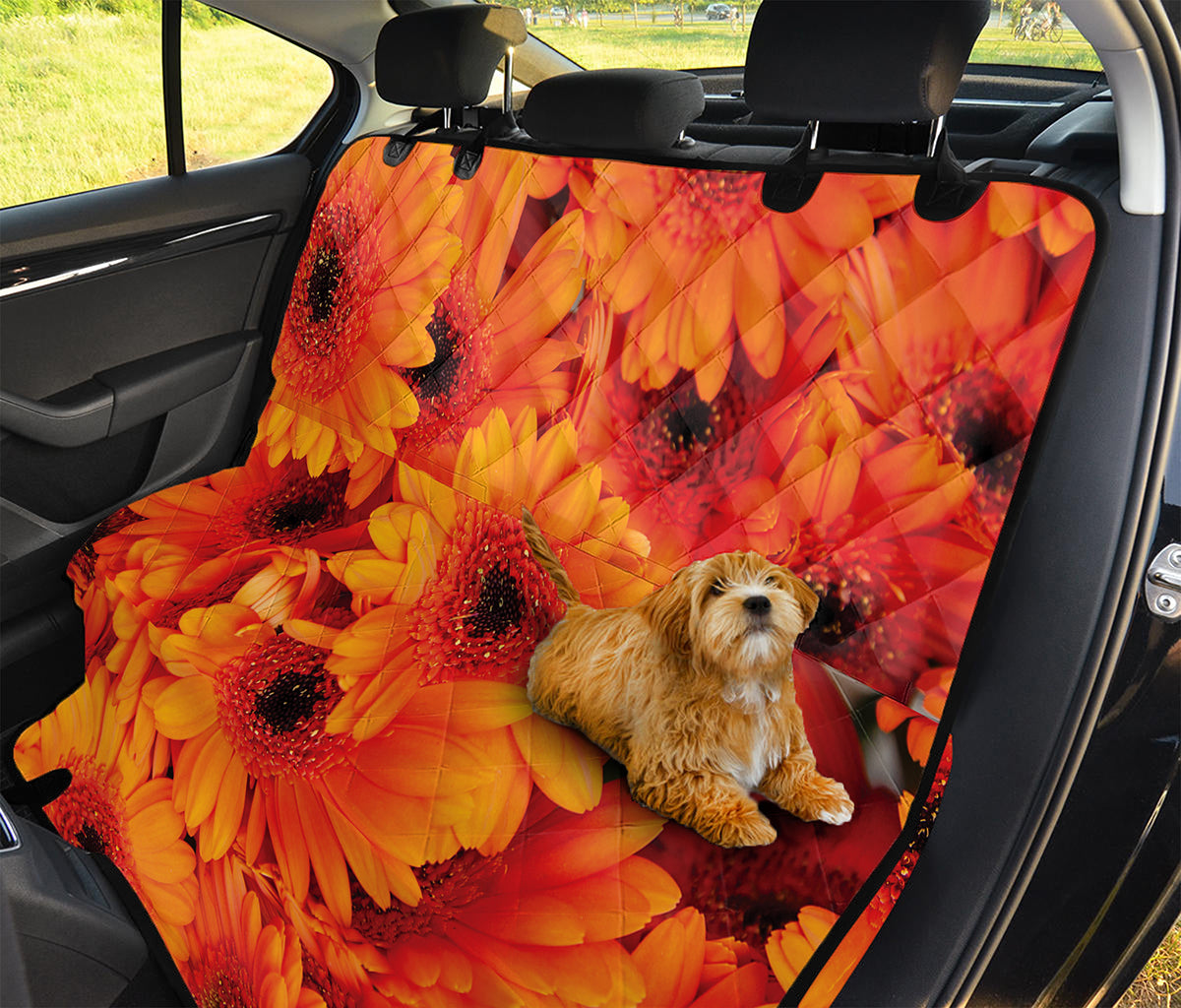 Orange Daisy Flower Print Pet Car Back Seat Cover