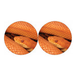 Orange Snake Print Car Coasters
