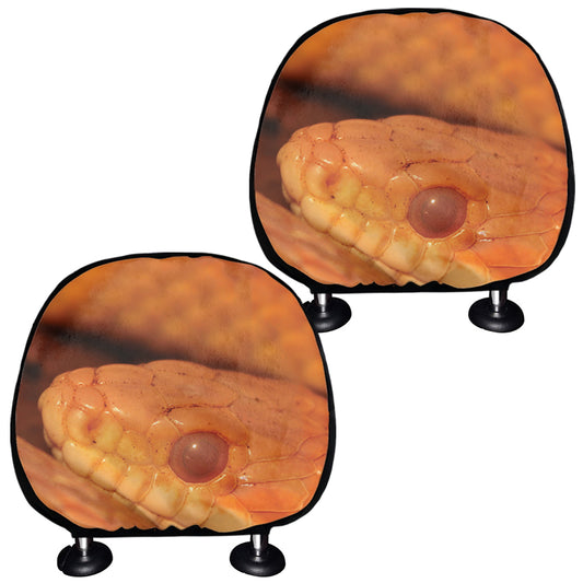 Orange Snake Print Car Headrest Covers