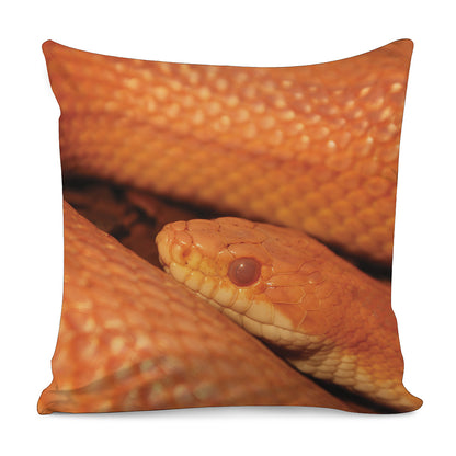 Orange Snake Print Pillow Cover