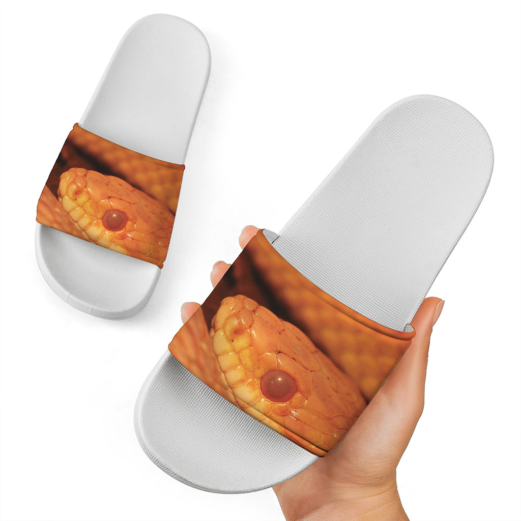 Orange Snake Print White Slide Sandals