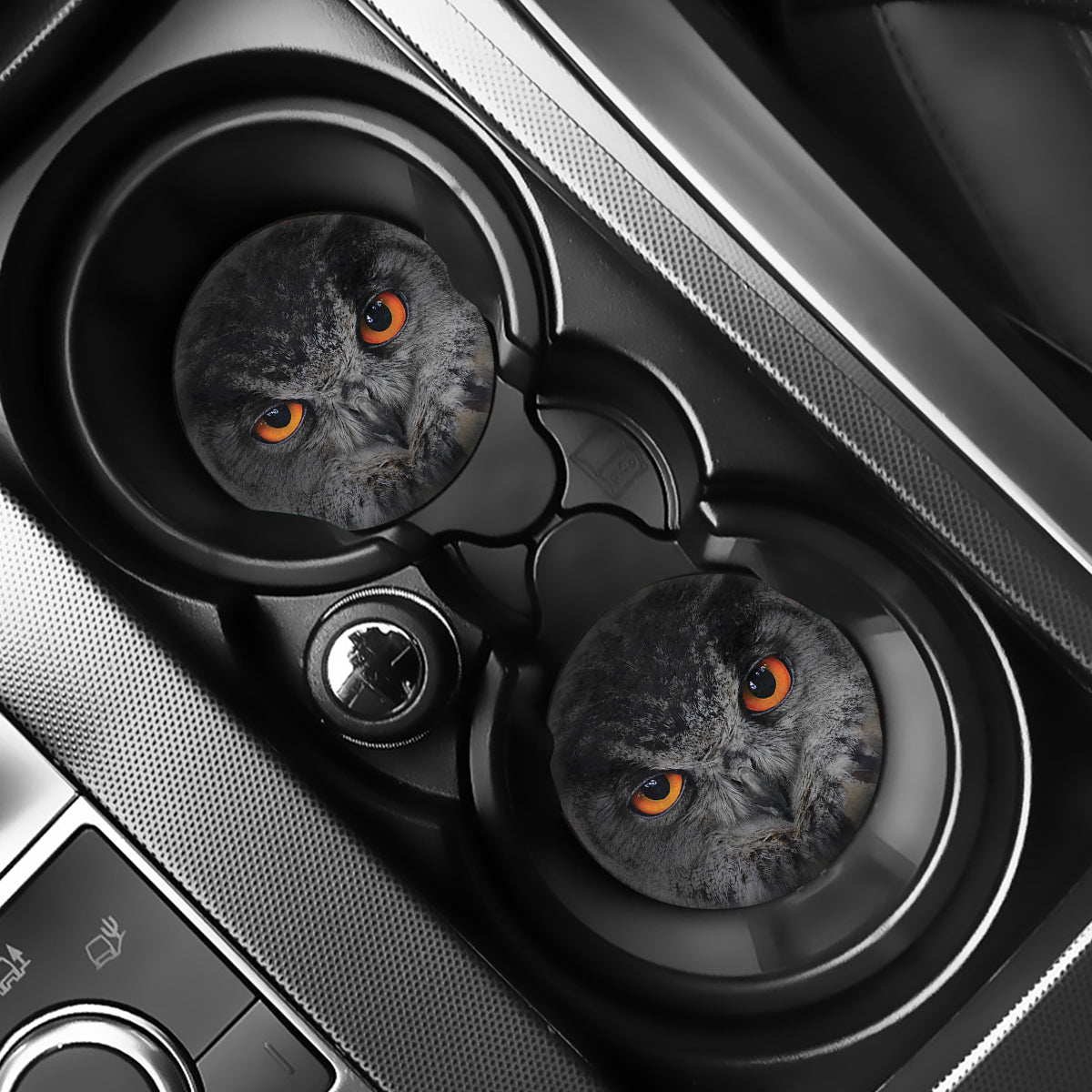 Owl Eyes Print Car Coasters