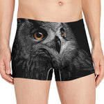 Owl Portrait Print Men's Boxer Briefs