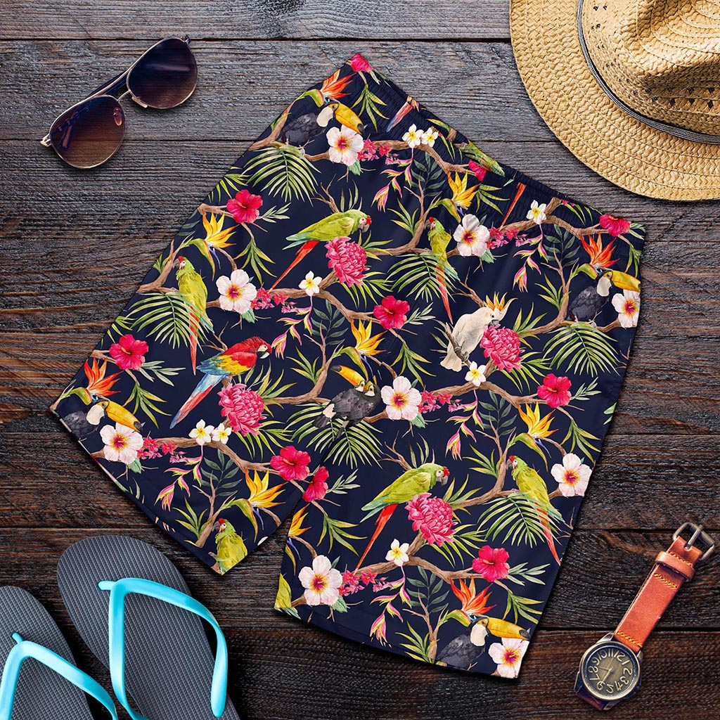 Parrot Toucan Tropical Pattern Print Men's Shorts