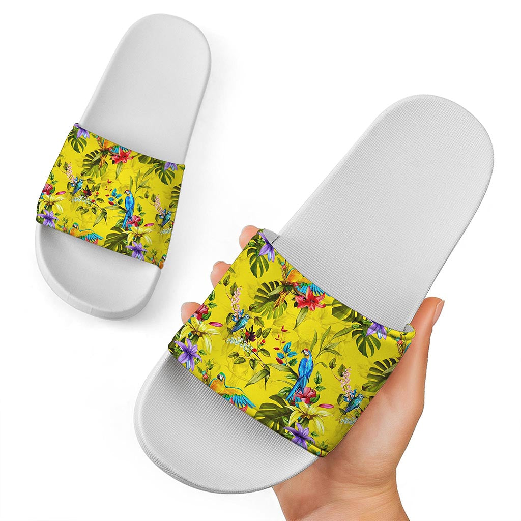 Parrot Tropical Pattern Print White Slide Sandals