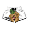 Patrick's Day Golden Retriever Print Muay Thai Boxing Shorts