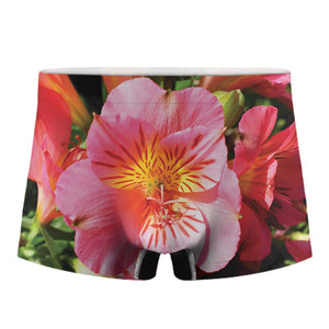 Pink Alstroemeria Print Men's Boxer Briefs