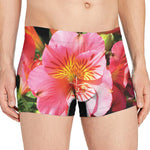 Pink Alstroemeria Print Men's Boxer Briefs