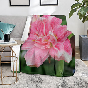 Pink Amaryllis Print Blanket