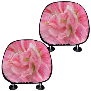 Pink Amaryllis Print Car Headrest Covers