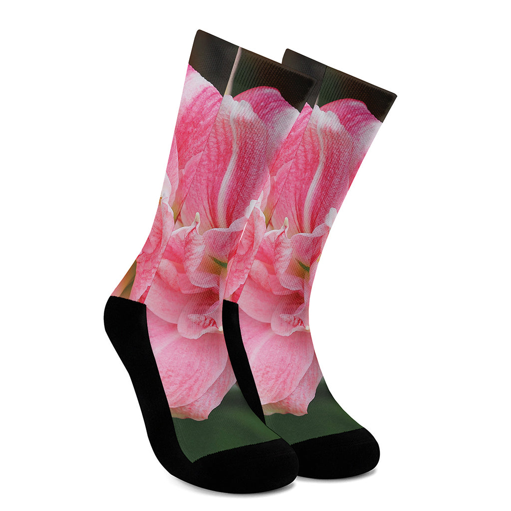 Pink Amaryllis Print Crew Socks