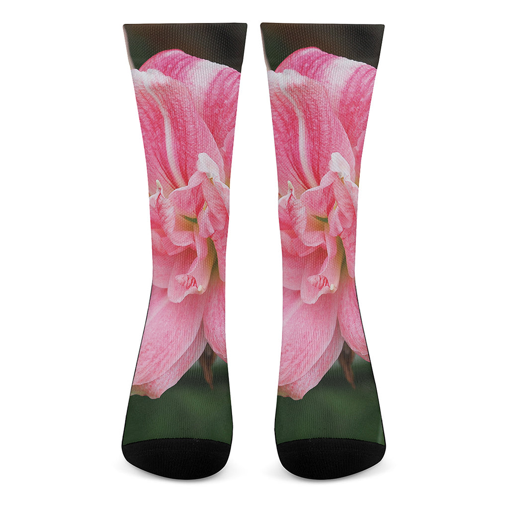 Pink Amaryllis Print Crew Socks