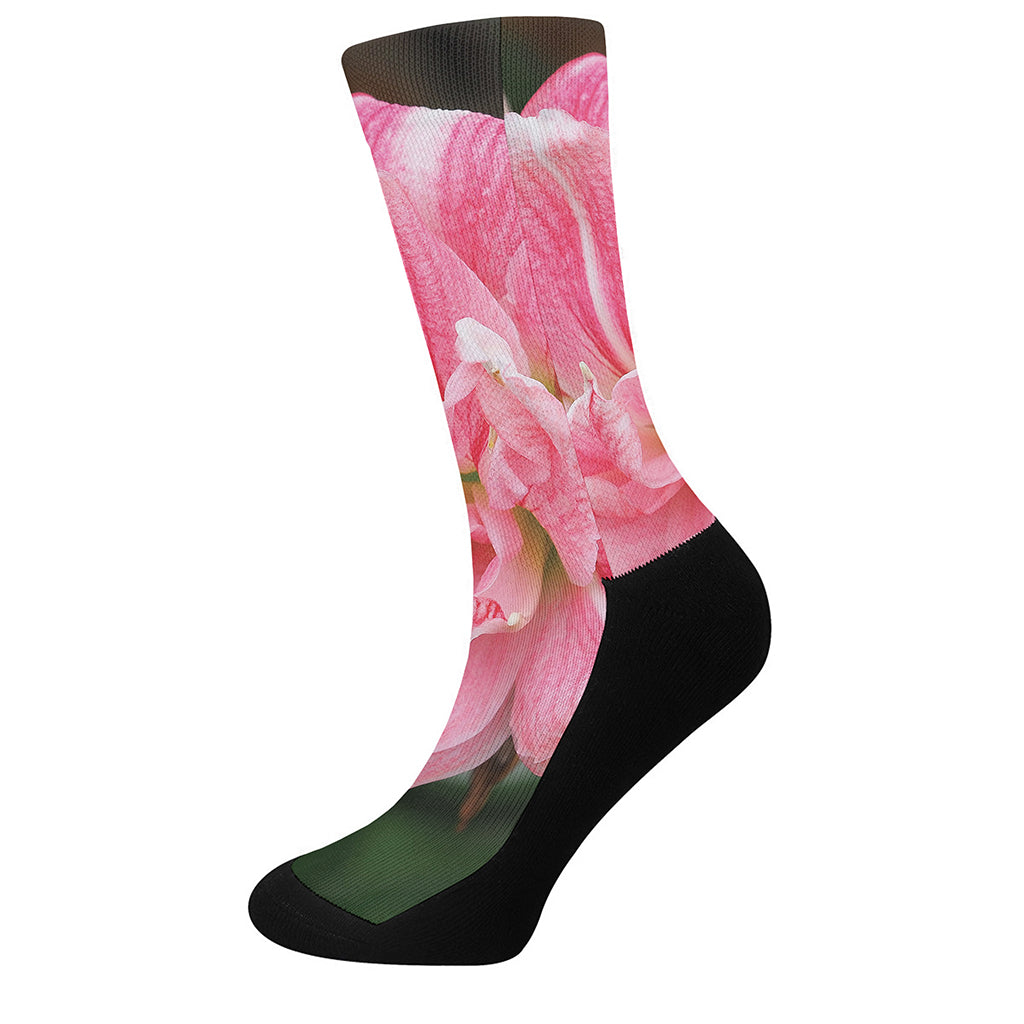 Pink Amaryllis Print Crew Socks