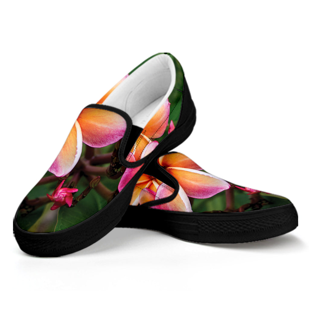 Pink And Yellow Plumeria Flower Print Black Slip On Shoes