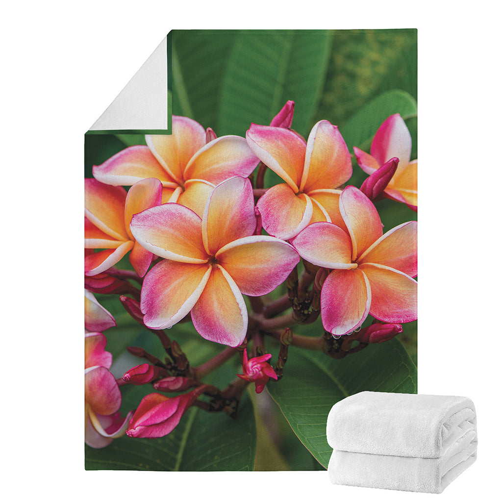 Pink And Yellow Plumeria Flower Print Blanket