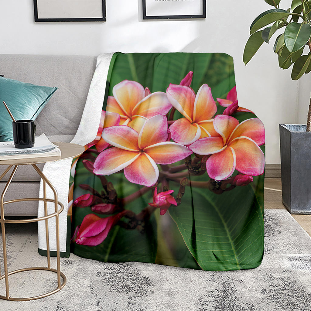 Pink And Yellow Plumeria Flower Print Blanket