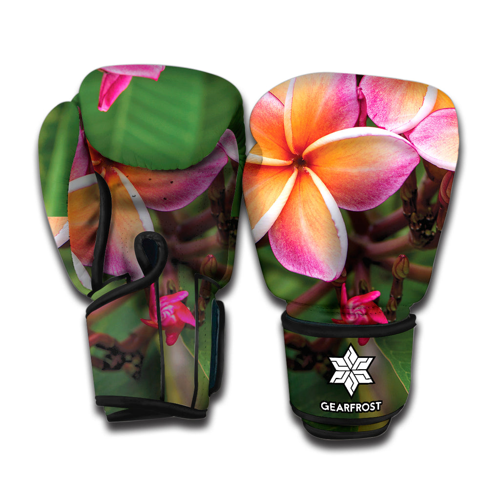 Pink And Yellow Plumeria Flower Print Boxing Gloves