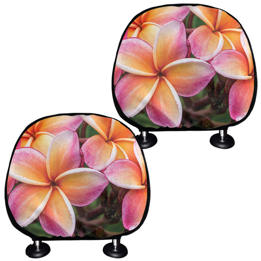 Pink And Yellow Plumeria Flower Print Car Headrest Covers