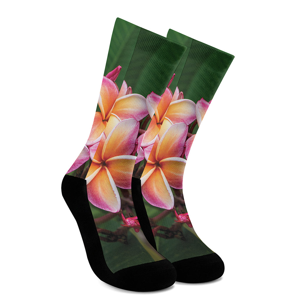 Pink And Yellow Plumeria Flower Print Crew Socks