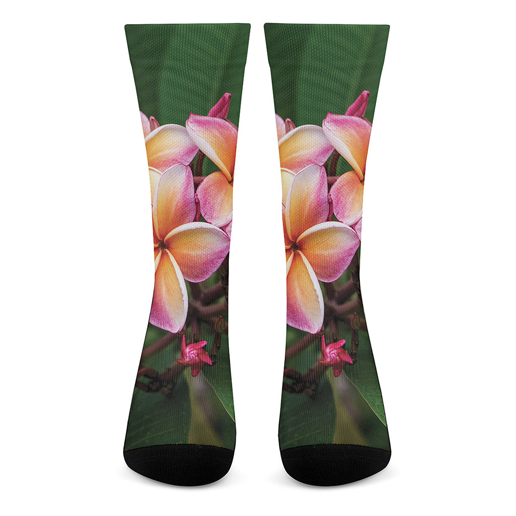 Pink And Yellow Plumeria Flower Print Crew Socks