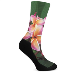 Pink And Yellow Plumeria Flower Print Crew Socks