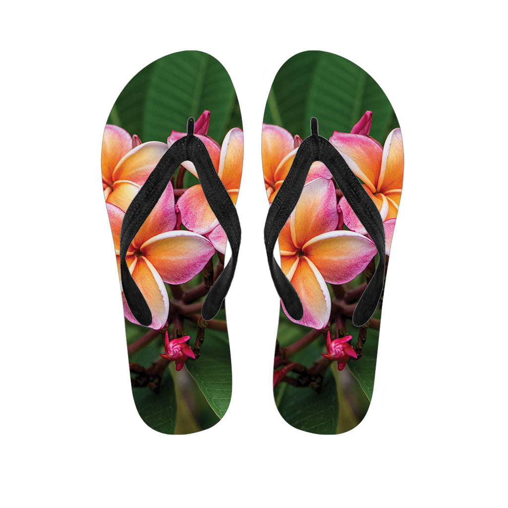 Pink And Yellow Plumeria Flower Print Flip Flops