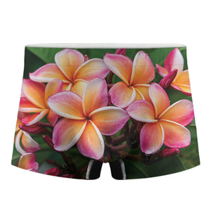 Pink And Yellow Plumeria Flower Print Men's Boxer Briefs