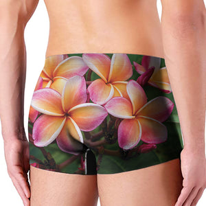 Pink And Yellow Plumeria Flower Print Men's Boxer Briefs