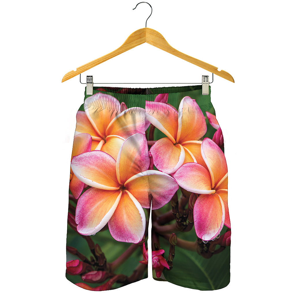 Pink And Yellow Plumeria Flower Print Men's Shorts