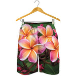 Pink And Yellow Plumeria Flower Print Men's Shorts