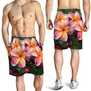 Pink And Yellow Plumeria Flower Print Men's Shorts