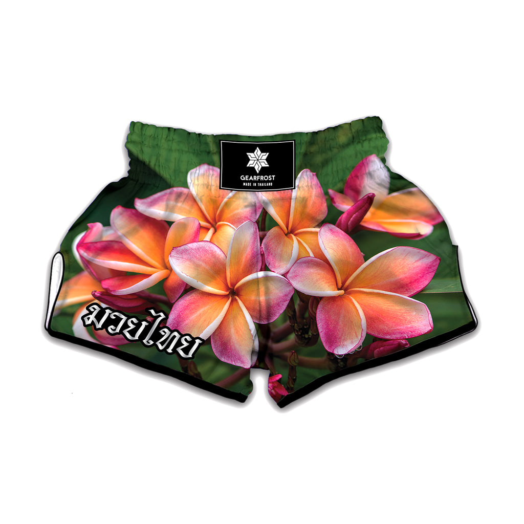 Pink And Yellow Plumeria Flower Print Muay Thai Boxing Shorts