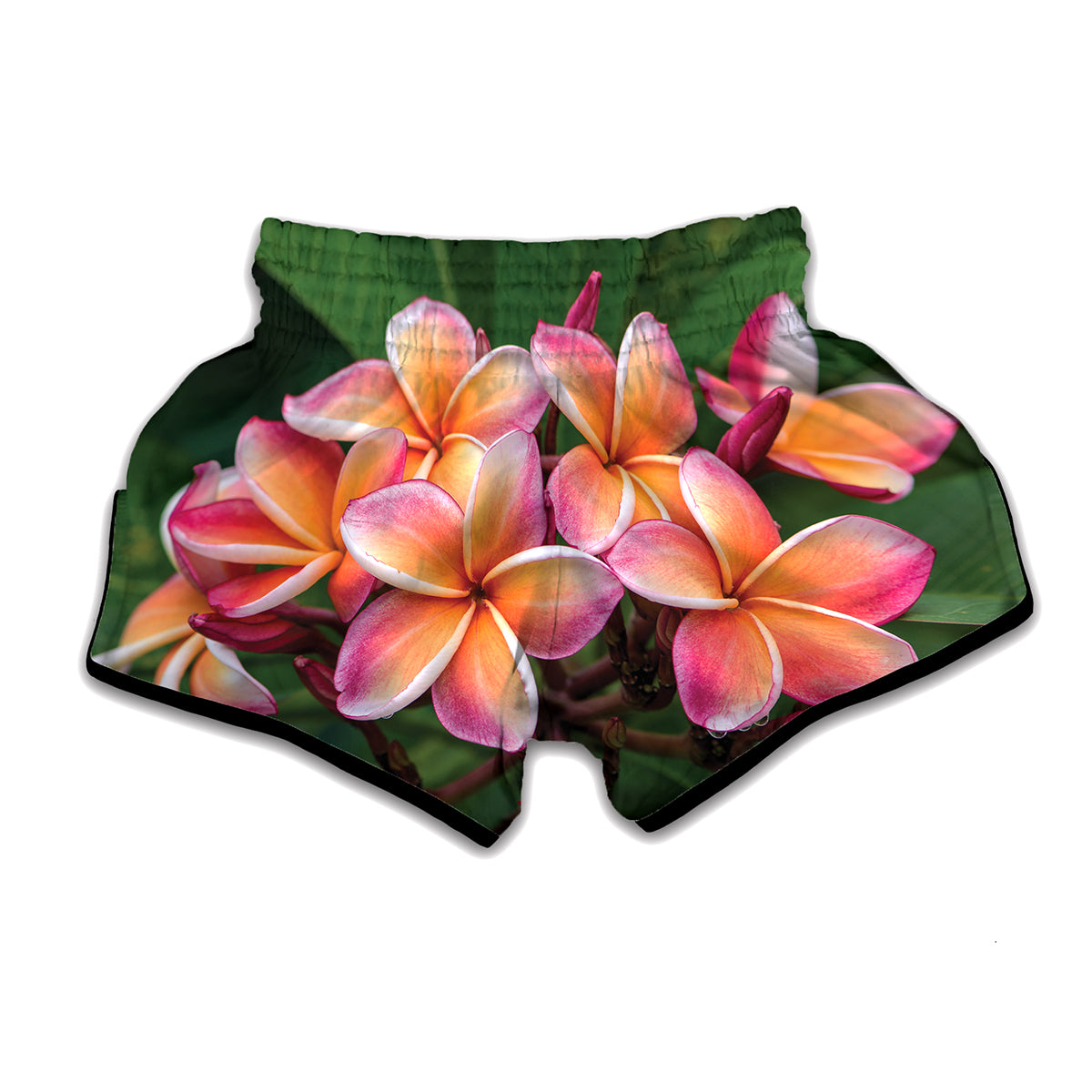 Pink And Yellow Plumeria Flower Print Muay Thai Boxing Shorts