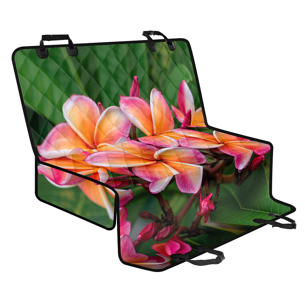 Pink And Yellow Plumeria Flower Print Pet Car Back Seat Cover