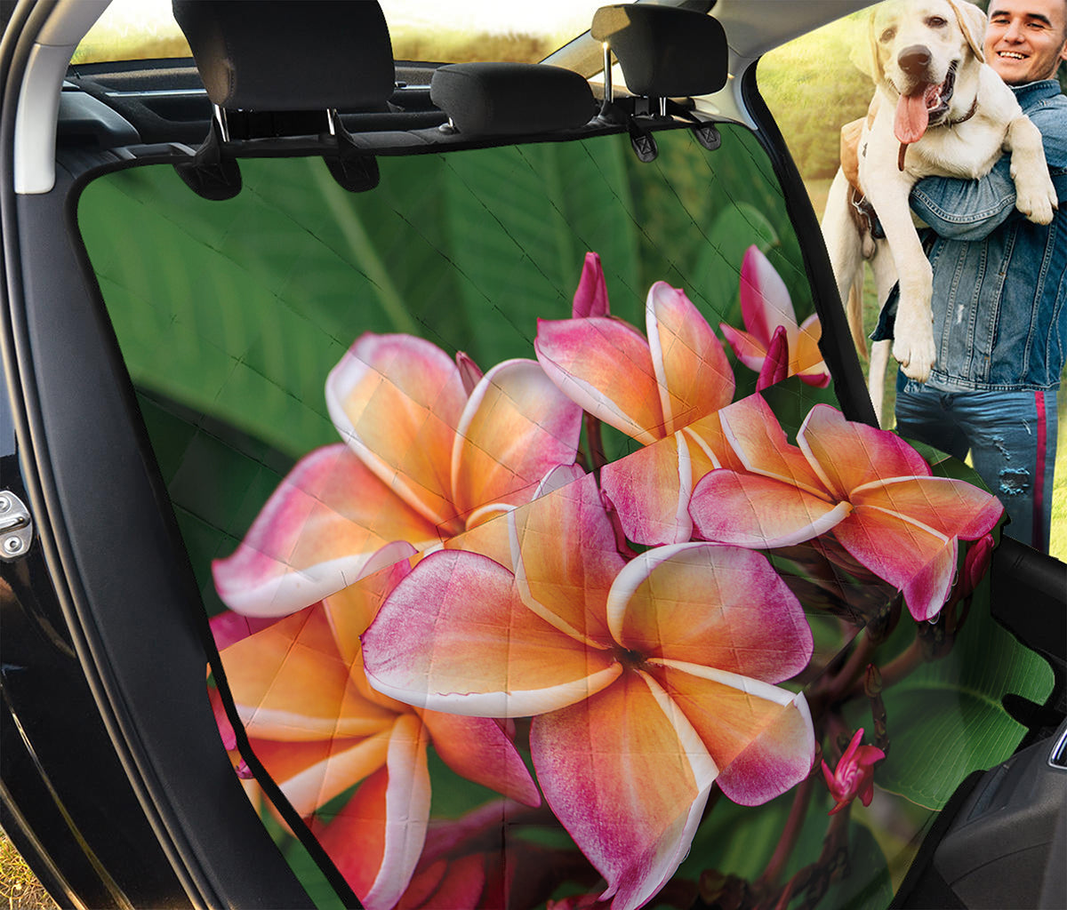 Pink And Yellow Plumeria Flower Print Pet Car Back Seat Cover