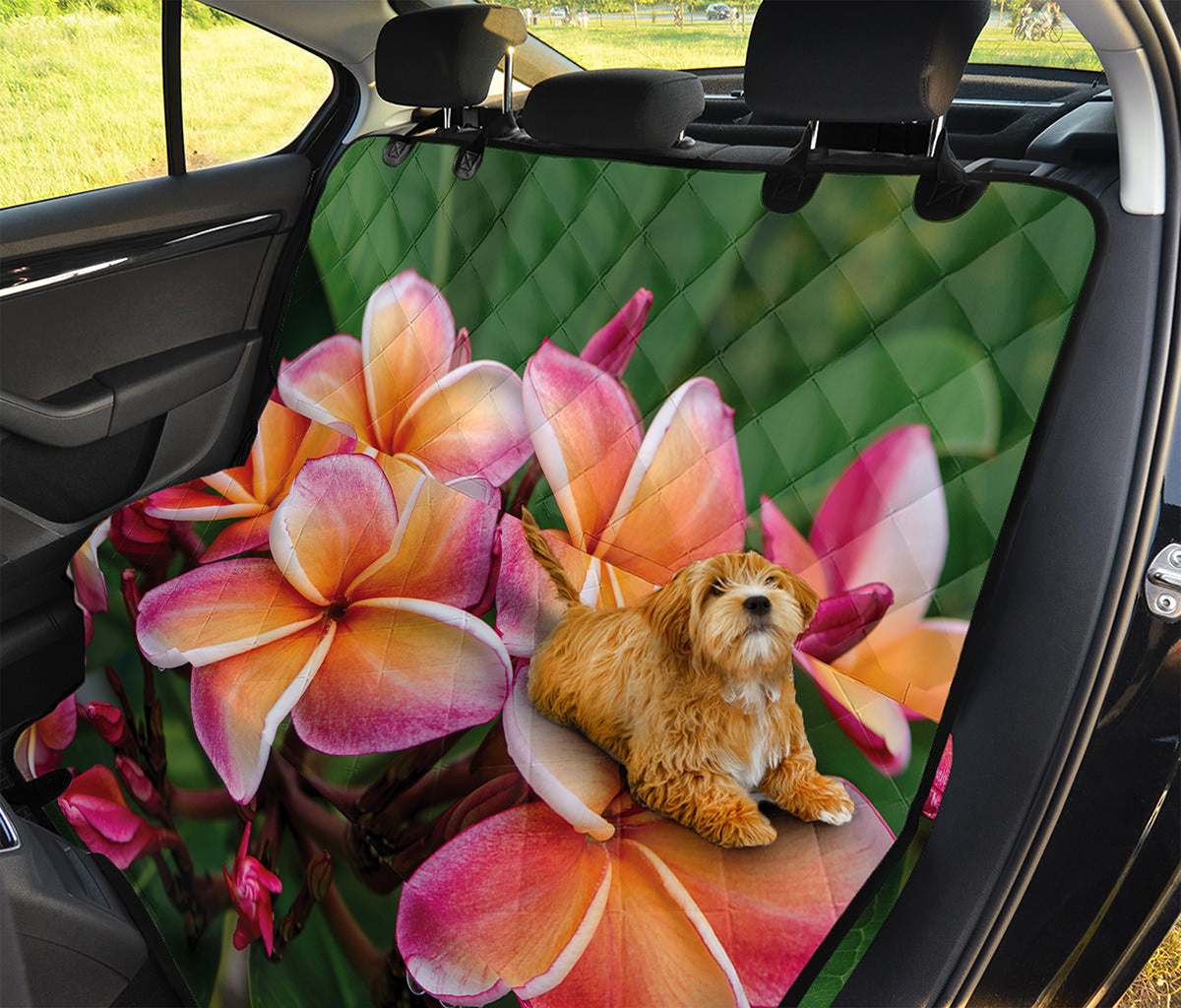 Pink And Yellow Plumeria Flower Print Pet Car Back Seat Cover