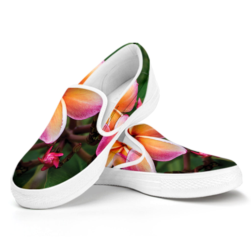 Pink And Yellow Plumeria Flower Print White Slip On Shoes