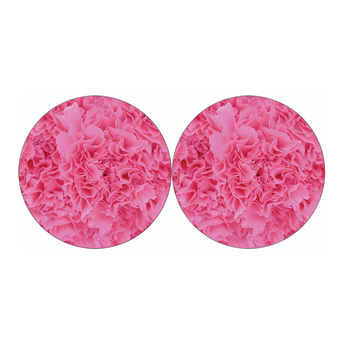 Pink Carnation Flower Print Car Coasters