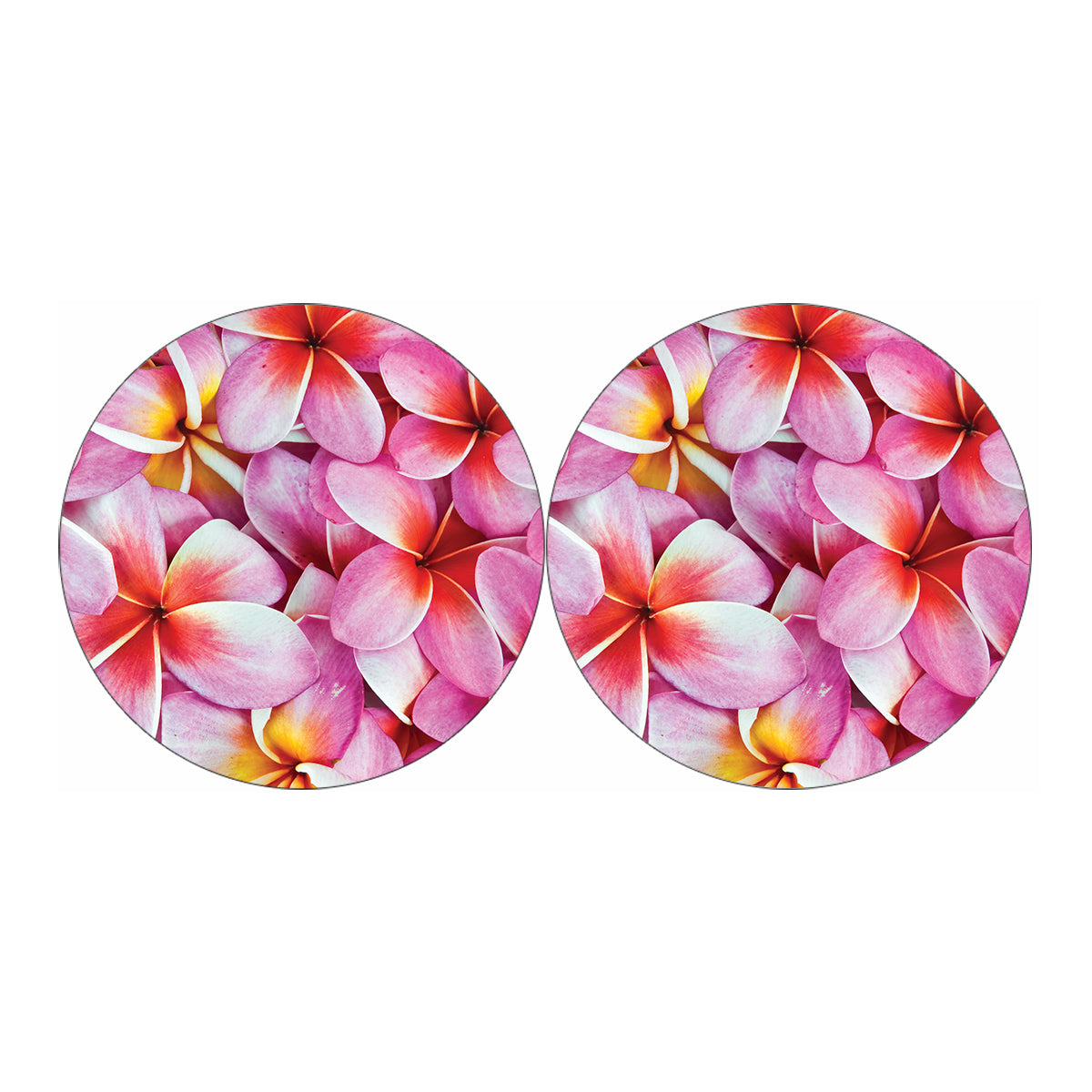 Pink Frangipani Flower Print Car Coasters