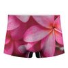 Pink Plumeria Flower Print Men's Boxer Briefs