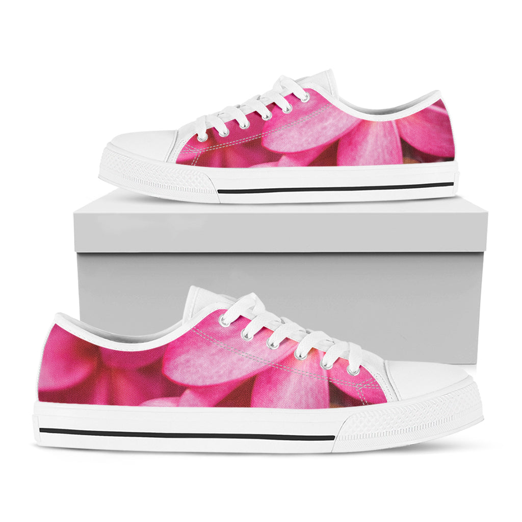 Pink Plumeria Flower Print White Low Top Shoes