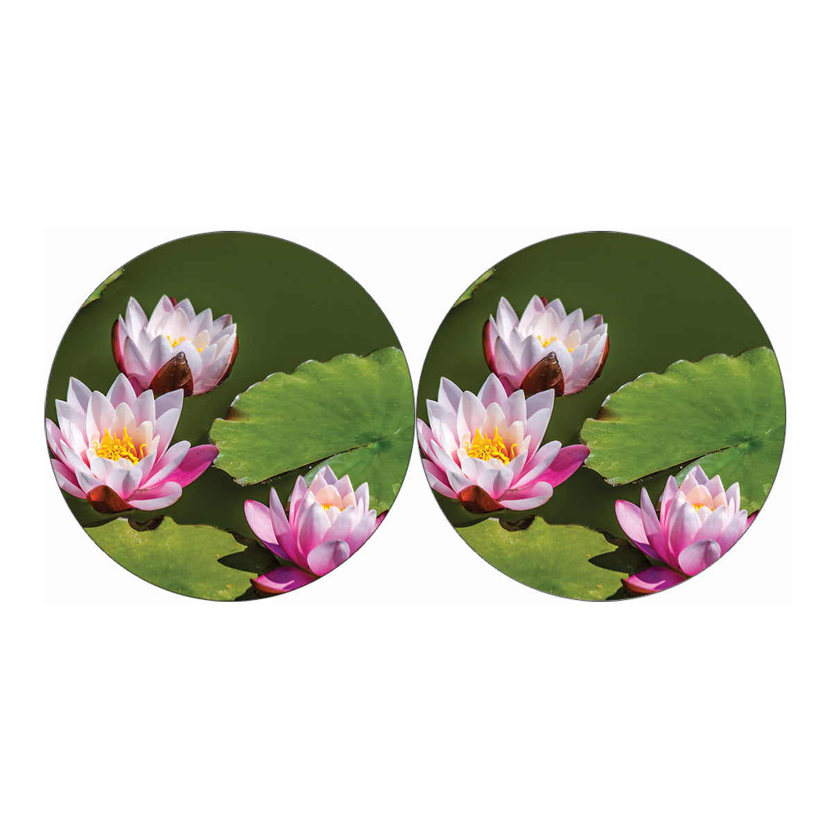 Pink Water Lilies Print Car Coasters