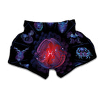 Pisces And Astrological Signs Print Muay Thai Boxing Shorts