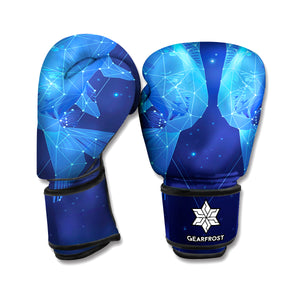 Pisces Horoscope Sign Print Boxing Gloves