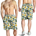 Plumeria Flower Striped Pattern Print Men's Shorts