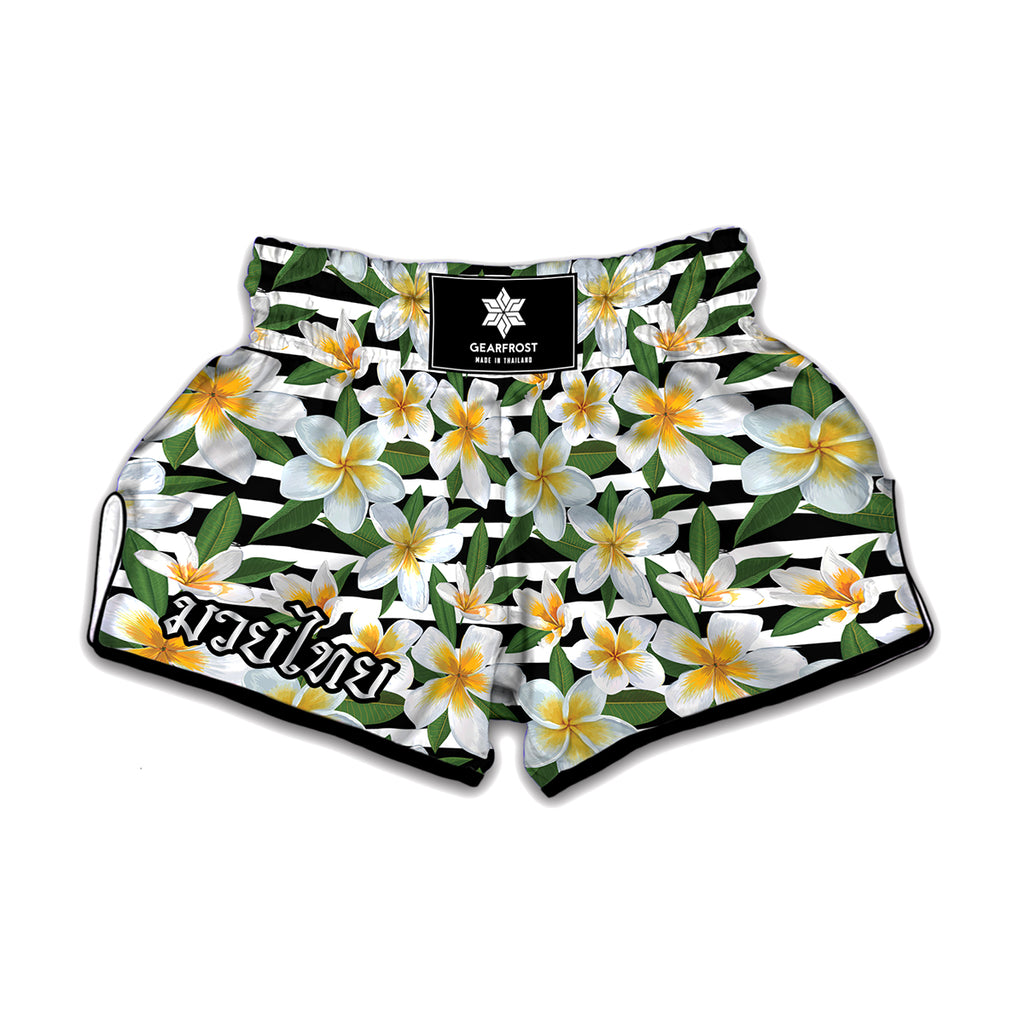 Plumeria Flower Striped Pattern Print Muay Thai Boxing Shorts