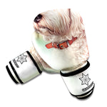 Poodle Portrait Print Boxing Gloves