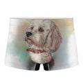 Poodle Portrait Print Men's Boxer Briefs